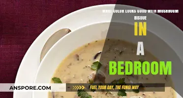 Mushroom Bisque Bedroom Bliss: Perfect Color Pairings for a Cozy Retreat