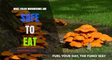 Safe Mushroom Colors: A Guide to Edible Fungi Identification