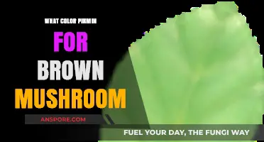 Best Pikmin Color to Tackle Brown Mushrooms: A Strategic Guide