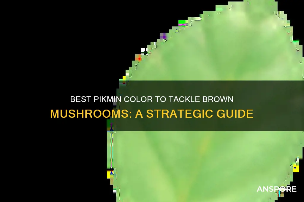 what color pikmin for brown mushroom