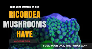 Blue Ricordea Mushrooms: Unveiling Their Vibrant Color Spectrum Secrets