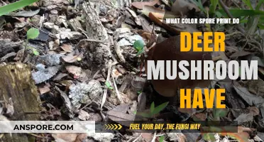 Deer Mushrooms: Unveiling the Unique Color of Their Spore Print