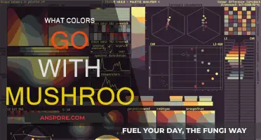 Mellow Mushroom: Exploring Soothing Color Palettes