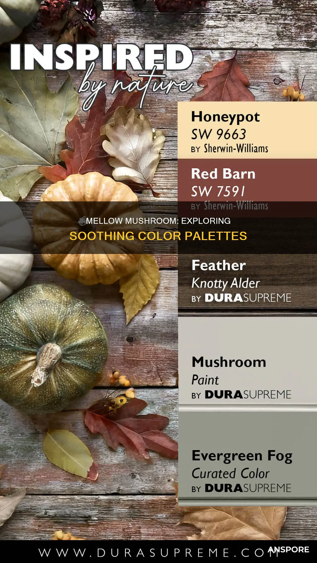 what colors go with mushroom