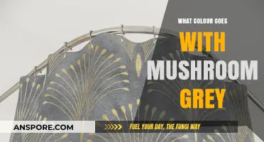 Mushroom Grey Magic: Perfect Color Combinations for Your Home Decor