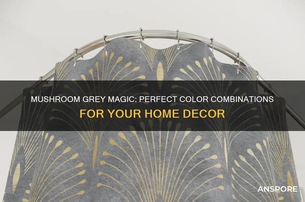 what colour goes with mushroom grey