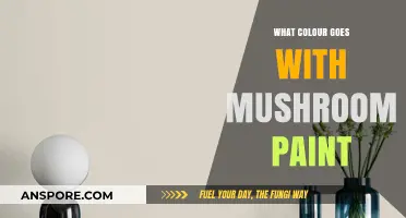 Mushroom Paint Pairings: Discover the Perfect Colors to Complement Your Space