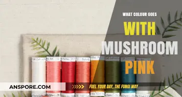 Mushroom Pink Harmony: Perfect Color Combinations for a Soft, Earthy Palette