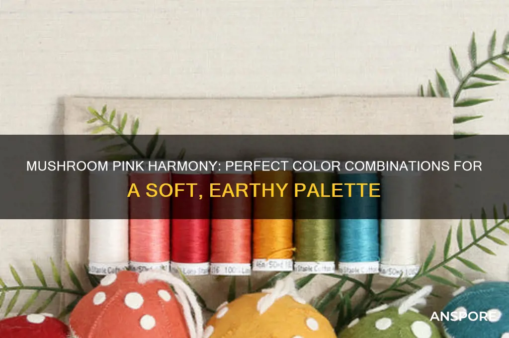 what colour goes with mushroom pink