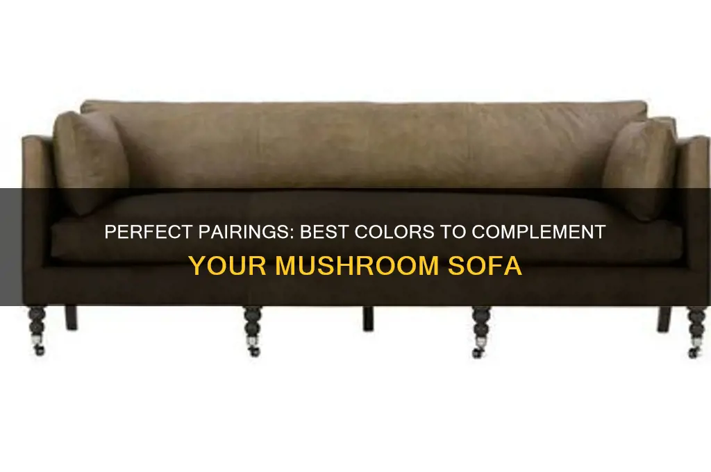 what colour goes with mushroom sofa