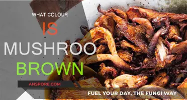Mushroom Brown: Exploring the Unique Colour Shade