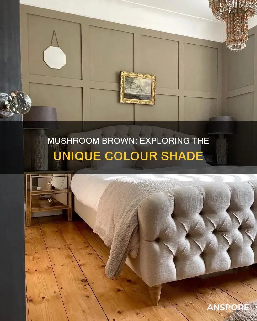 what colour is mushroom brown