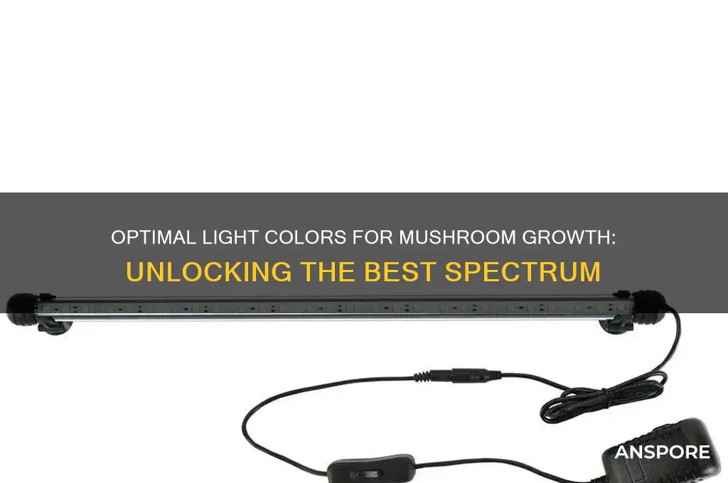 what colour light do mushrooms grow best in