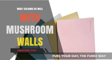 Mushroom Walls: Perfect Color Combinations for a Cozy, Chic Space