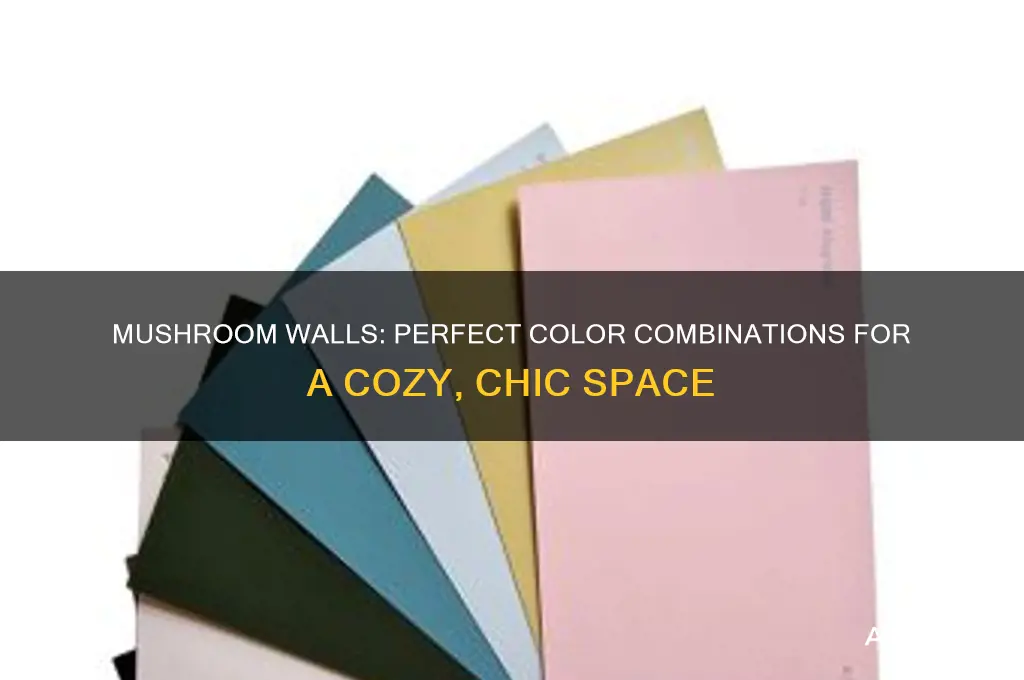 what colours go well with mushroom walls
