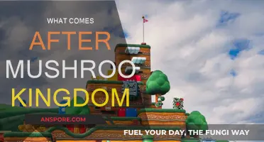 Exploring the Universe: Mushroom Kingdom and Beyond