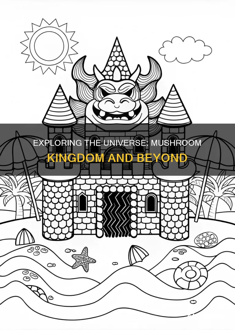 what comes after mushroom kingdom