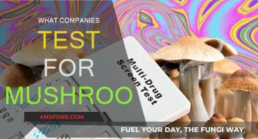 Mushroom Testing: Which Companies Are Leading the Way?