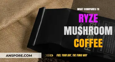 Exploring Ryze Mushroom Coffee Alternatives: Top Healthy Energy Boosts