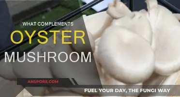 Delicious Foods to Pair with Oyster Mushrooms