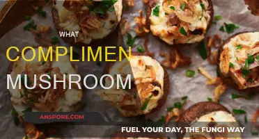 Mushroom's Perfect Partners: A Culinary Guide