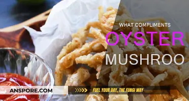 Enhancing Oyster Mushrooms: Perfect Pairings