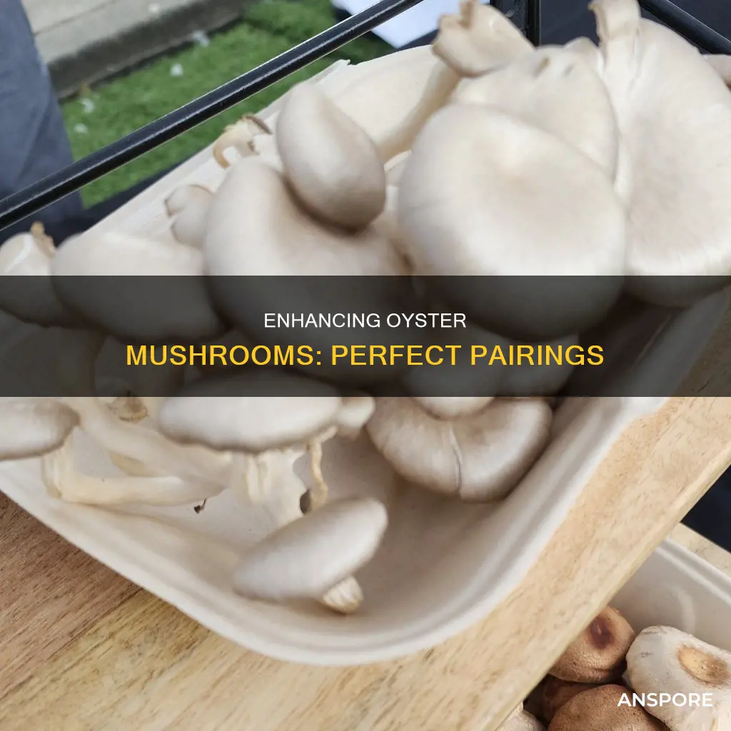 what compliments oyster mushroom