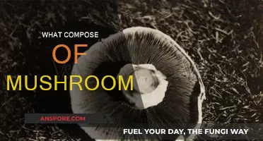 Mushroom Makeup: Unveiling the Intricate Composition