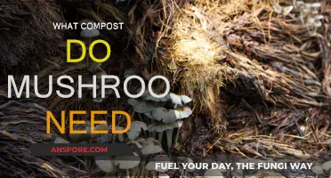 Mushroom Compost: What's the Perfect Recipe?