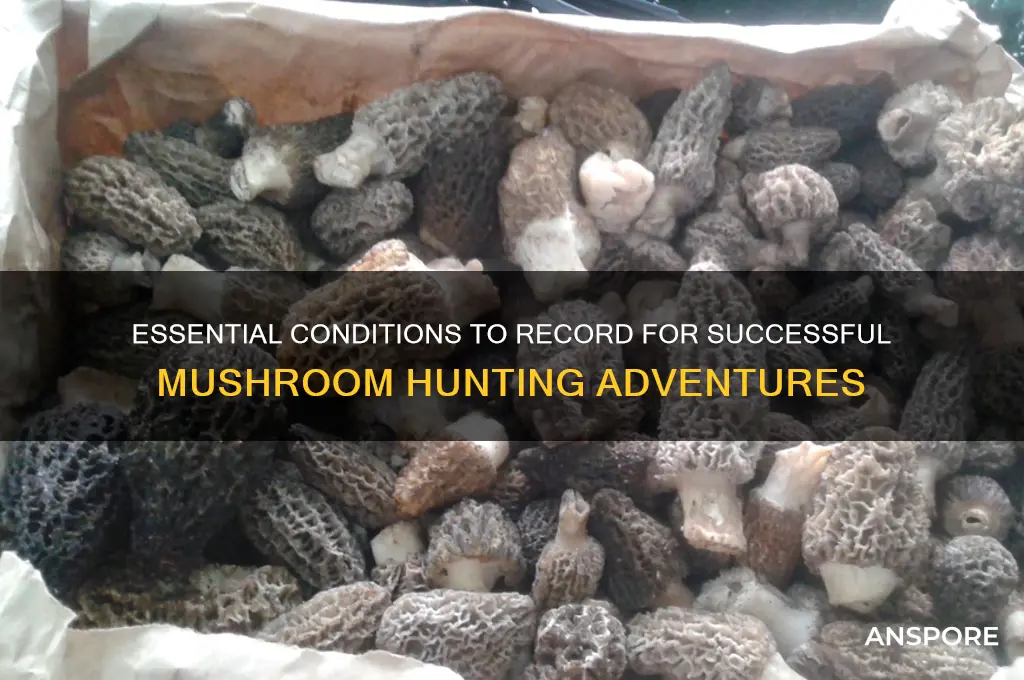 what conditions to record when hunting mushrooms