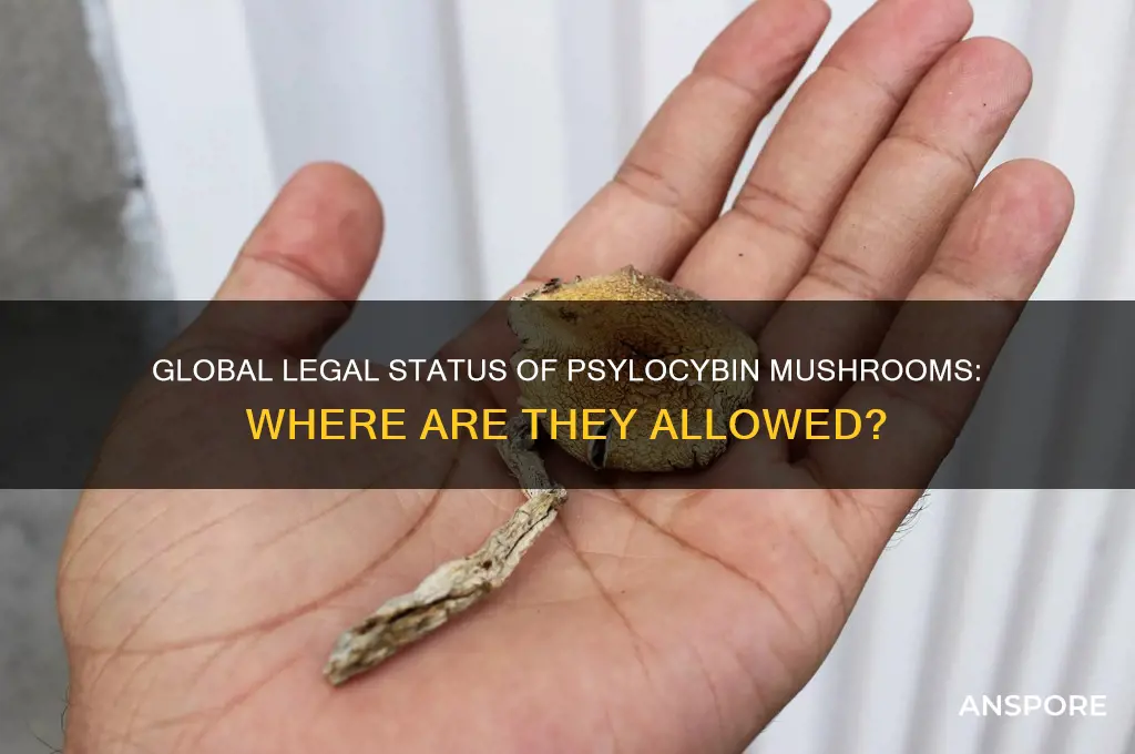 what countries are psylocybin mushrooms legal