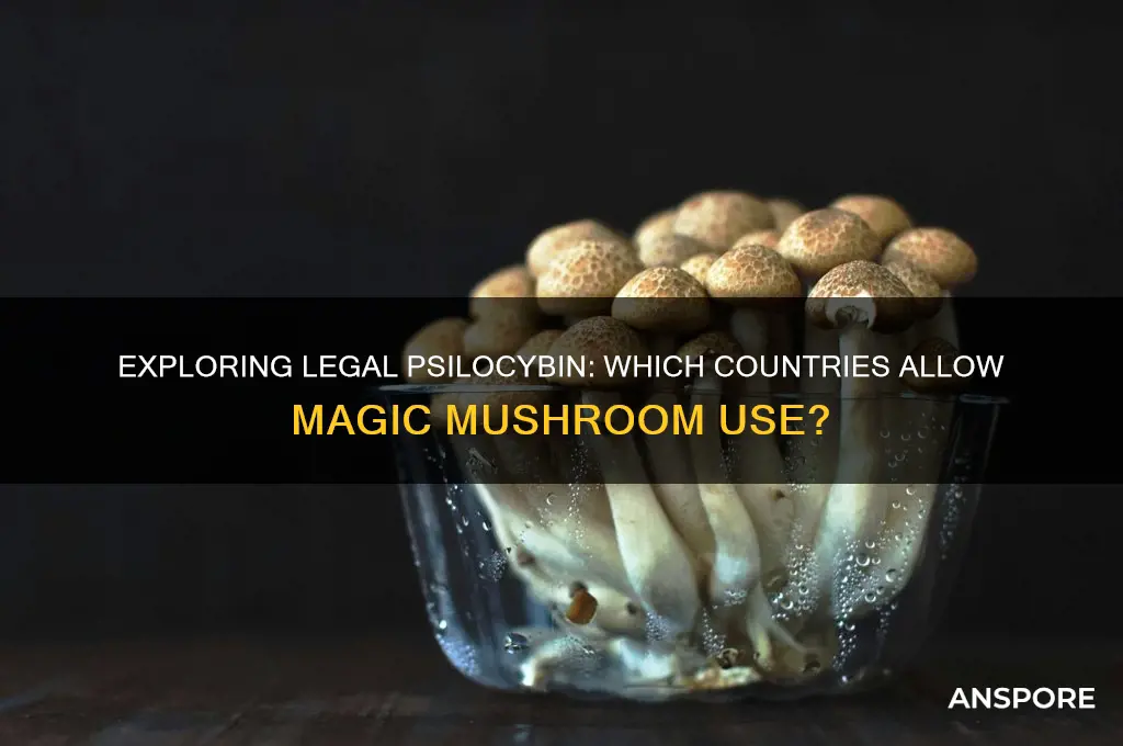 what country allows me to do mushrooms