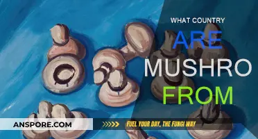 Mushrooms: A Global Food History