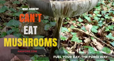 Mushroom-Free Nations: Exploring Countries Where Mushrooms Are Off-Limits