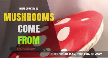 Exploring the Global Origins of Mushrooms: A Country-by-Country Guide