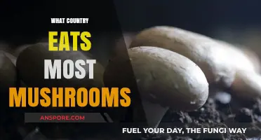 Global Mushroom Consumption: Which Country Tops the Fungi Feast?