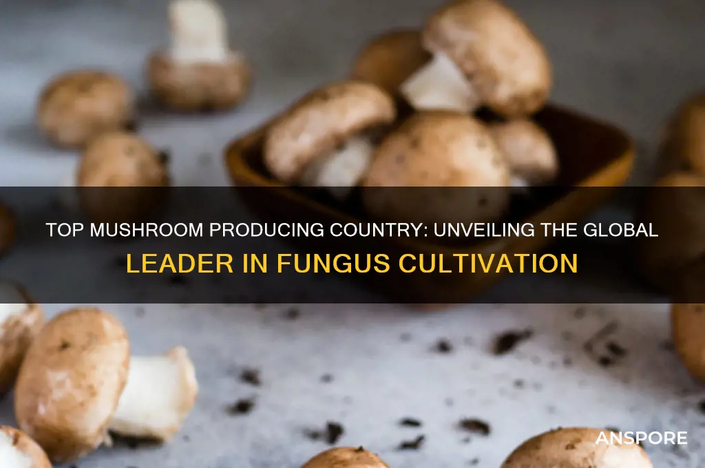 what country grows the most mushrooms