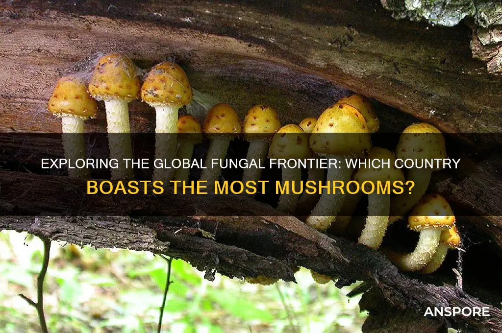 what country has the most mushrooms