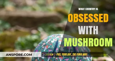 Mushroom Mania: Exploring the Country That Can't Get Enough of Fungi