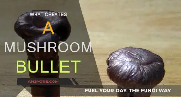 How Mushrooms Grow on Bullets: A Forensic Mystery