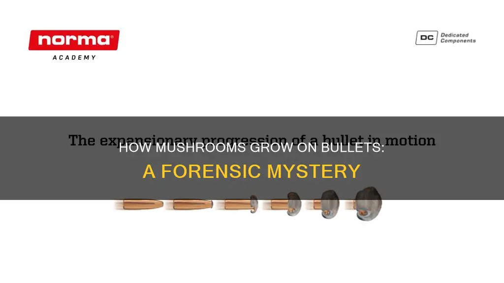 what creates a mushroomed bullet