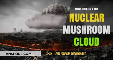 Explosive Phenomena: Unveiling the Origins of Non-Nuclear Mushroom Clouds