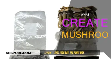 Mushroom Magic: Nature's Decomposing Superheroes