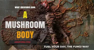 Mushroom Bodies: Surprising Creatures with This Unique Brain Structure