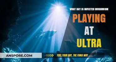 Infected Mushroom's Ultra Music Festival Performance Date Revealed