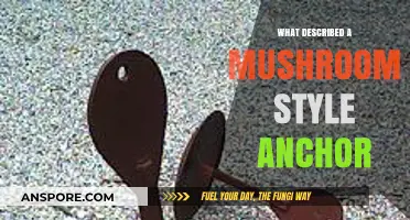Understanding the Unique Design of a Mushroom Style Anchor