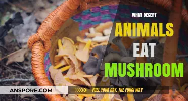 Desert Foragers: Unveiling Mushroom-Eating Animals in Arid Ecosystems