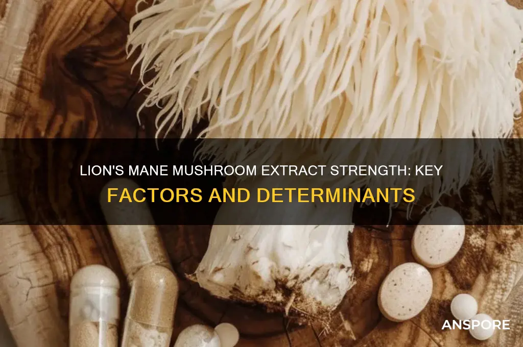 what determines the extract strength from lion