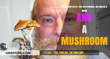 Men vs. Mushrooms: Unveiling the Surprising Factors That Define the Difference