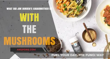 Jim Burden's Grandmother's Mushroom Secrets: A Culinary Legacy Unveiled